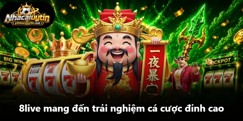 8live mang đến trải nghiệm cá cược đỉnh cao