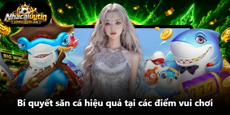 Bí quyết săn cá hiệu quả tại các điểm vui chơi Bí quyết săn cá hiệu quả tại các điểm vui chơi