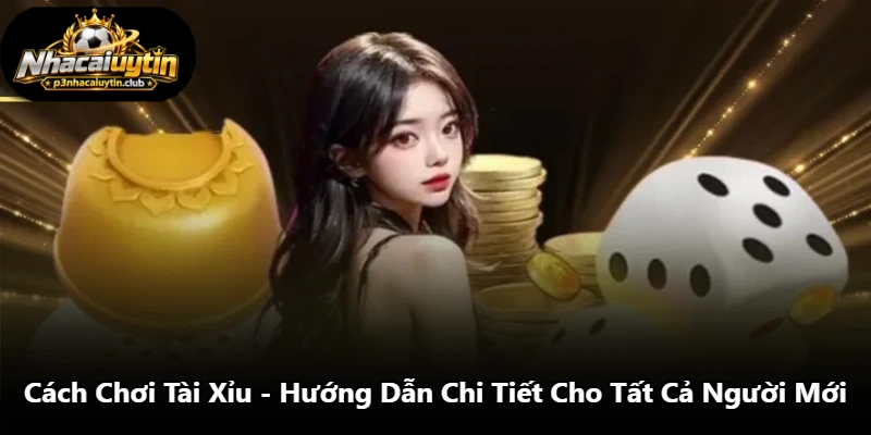 Cách Chơi Tài Xỉu - Hướng Dẫn Chi Tiết Cho Tất Cả Người Mới