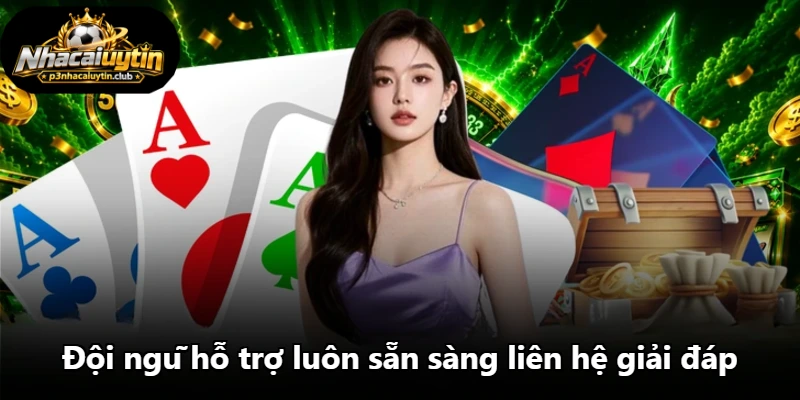 Đội ngũ hỗ trợ luôn sẵn sàng liên hệ giải đáp Đội ngũ hỗ trợ luôn sẵn sàng liên hệ giải đáp