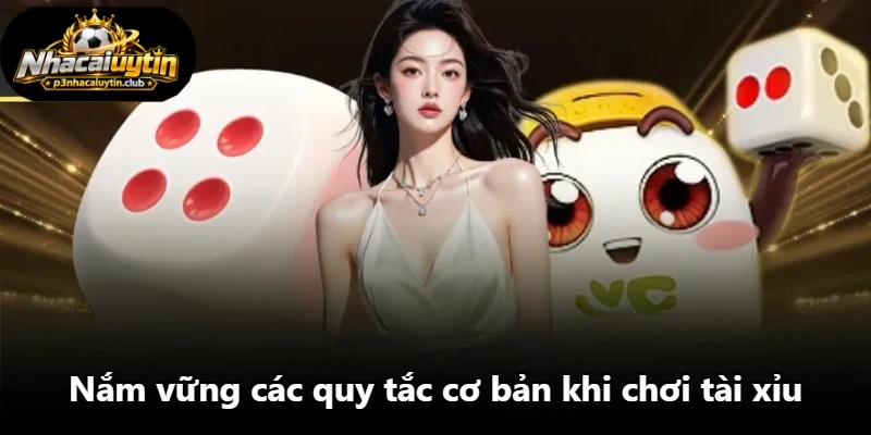 Nắm vững các quy tắc cơ bản khi chơi tài xỉu