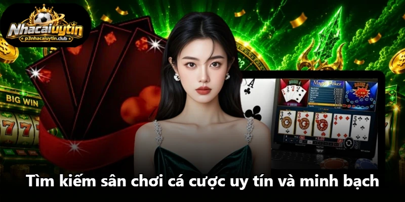 Tìm kiếm sân chơi cá cược uy tín và minh bạch