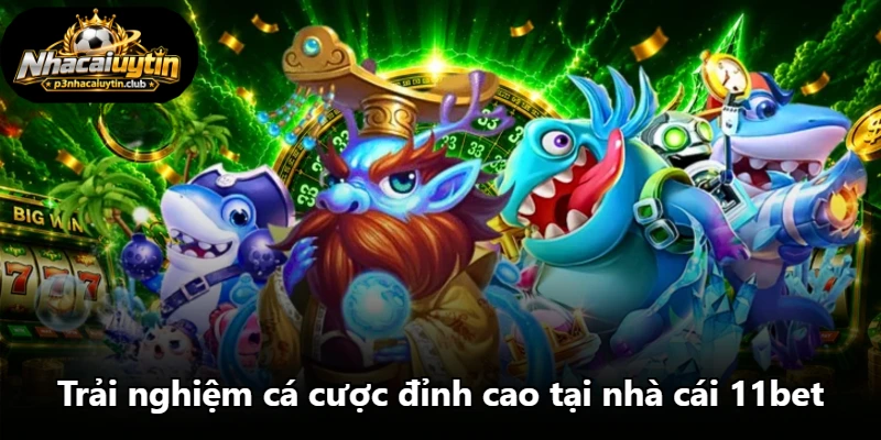 Trải nghiệm cá cược đỉnh cao tại nhà cái 11bet Trải nghiệm cá cược đỉnh cao tại nhà cái 11bet